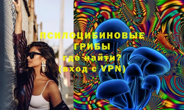 марки lsd Алексеевка