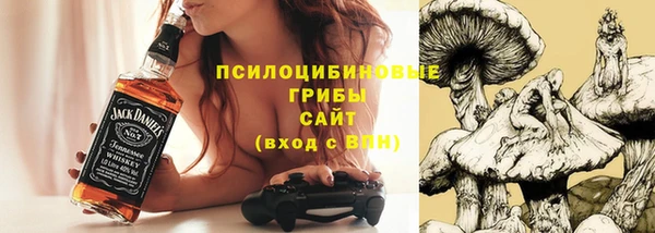 гидра Алзамай