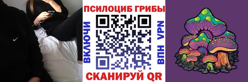 Галлюциногенные грибы Psilocybine cubensis  Югорск 